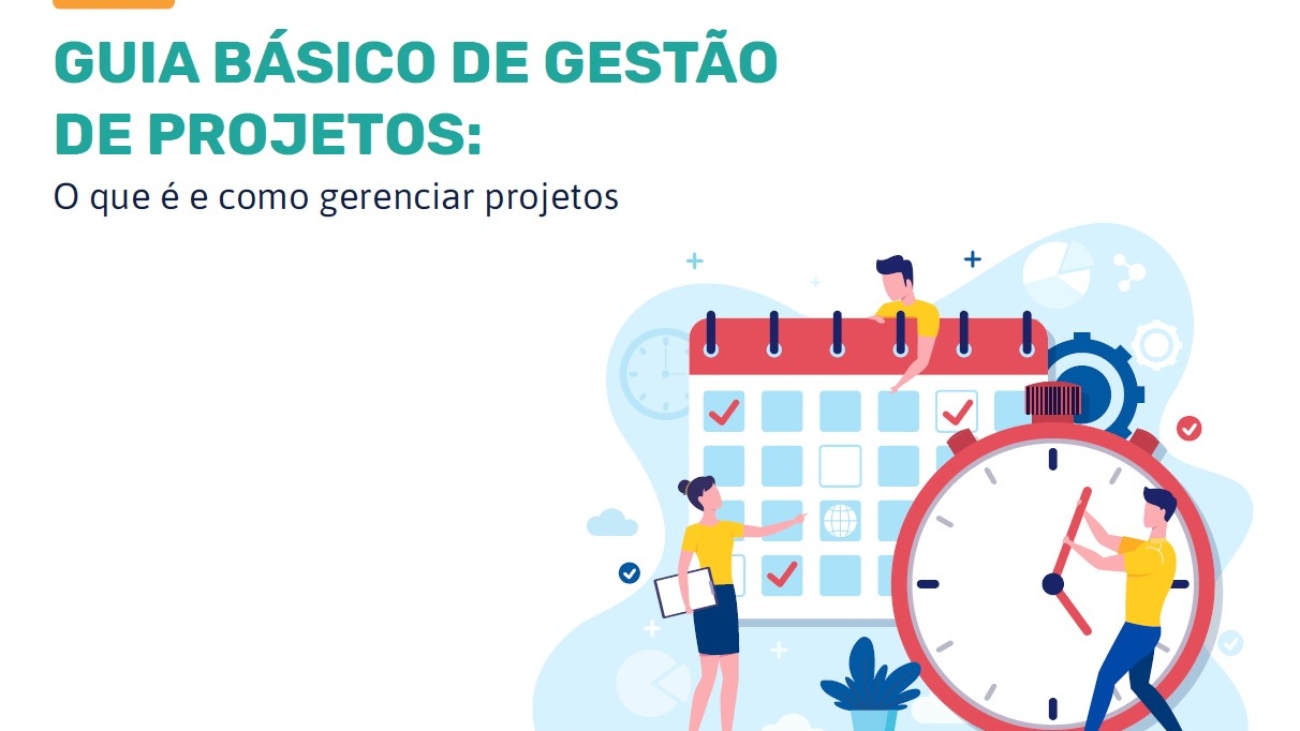 _Guia Básico de Gestão de Projetos O que é e como Gerenciar Projetos